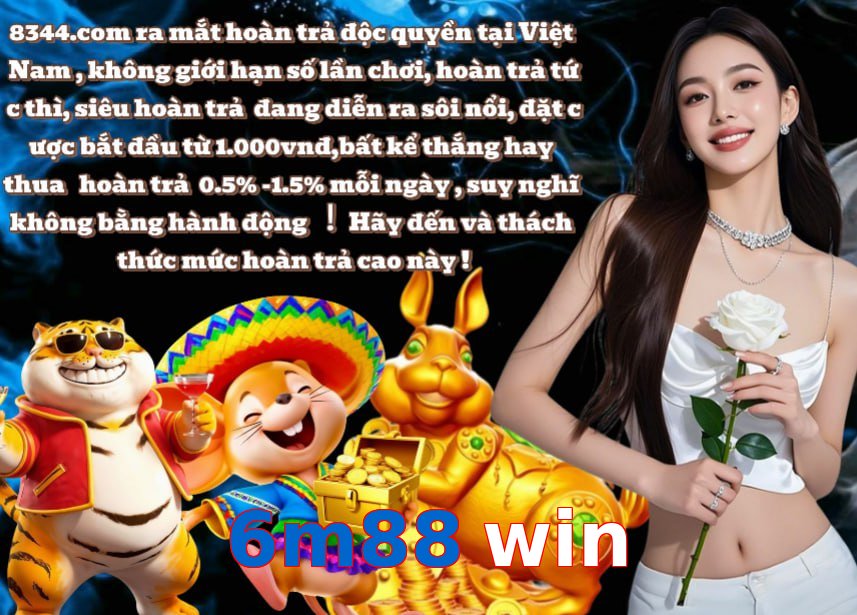 6m88 win